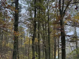 Prodej pozemku, Praha, 14747 m2