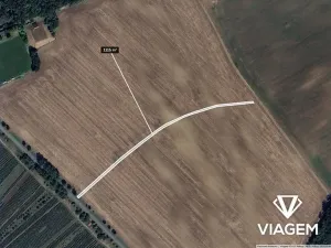 Prodej pole, Dolní Bojanovice, 1115 m2