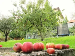 Pronájem bytu 3+kk, Praha - Krč, Pod vrstevnicí, 57 m2