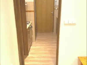 Prodej bytu 3+kk, Praha - Břevnov, Patočkova, 50 m2