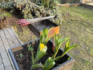 Prodej bytu 1+1, Praha - Michle, U plynárny, 37 m2