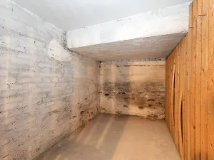 Prodej bytu 2+1, Brno, Skořepka, 55 m2