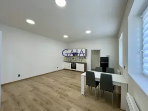 Pronájem bytu 1+kk, Veselí nad Moravou, Zámecká, 44 m2