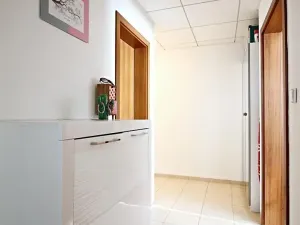 Pronájem bytu 2+kk, Brno, Hybešova, 57 m2