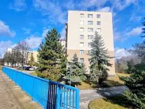 Prodej bytu 3+1, Jihlava, Okružní, 65 m2