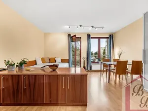 Pronájem bytu 1+kk, Praha - Podolí, Jeremenkova, 44 m2