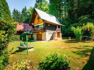 Prodej chaty, Černošín - Ostrovce, 80 m2