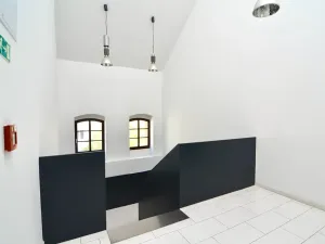 Prodej bytu 6+kk a větší, Praha - Karlín, Šaldova, 194 m2