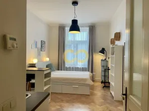 Pronájem bytu 1+kk, Praha - Vinohrady, Vozová, 26 m2