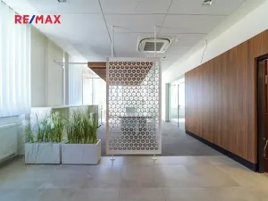 Prodej obchodního prostoru, Králíky, 5. května, 519 m2