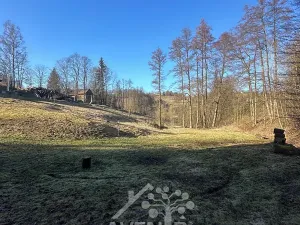 Prodej louky, Bozkov, 5815 m2