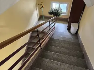 Prodej vícegeneračního domu, Aš, Květnová, 330 m2