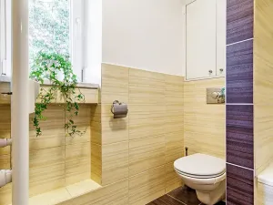 Prodej bytu 2+1, Olomouc, Albertova, 55 m2