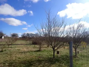 Prodej chaty, Velká Chmelištná, 39 m2