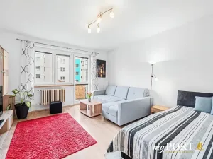 Pronájem bytu 1+1, Plzeň, Pod Lesem, 48 m2