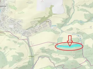 Prodej lesa, Lutonina, 18019 m2