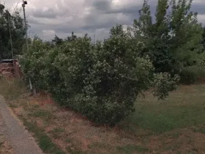 Prodej pozemku pro bydlení, Olomouc, 1434 m2