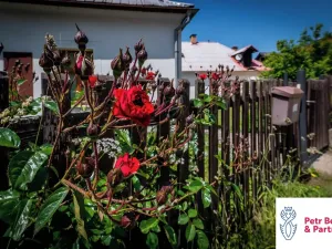 Pronájem bytu 1+kk, Křivoklát, 40 m2