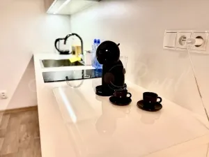 Pronájem bytu 1+kk, Brno - Brno-město, Kobližná, 50 m2