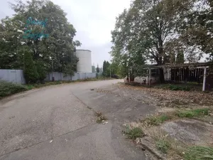 Prodej skladu, Tištín, 2000 m2