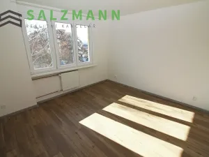 Pronájem bytu 3+kk, Plzeň, Rokycanská, 54 m2