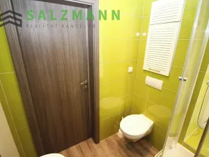 Pronájem bytu 3+kk, Plzeň, Rokycanská, 54 m2