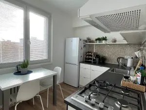 Prodej bytu 1+1, Ostrava, Opavská, 35 m2