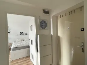 Prodej bytu 1+1, Ostrava, Opavská, 35 m2