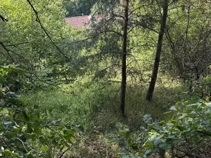 Dražba pozemku pro bydlení, Dubá, 226 m2