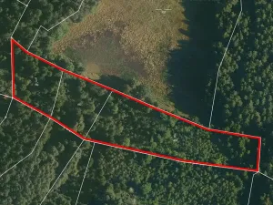 Prodej lesa, Nová Olešná, 9963 m2