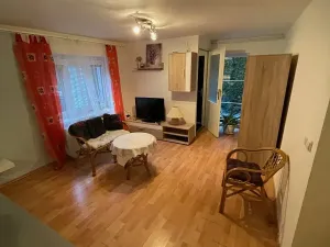 Pronájem bytu 1+kk, Třebotov, Karlštejnská, 30 m2