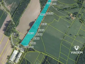 Prodej podílu lesa, Lomnice nad Popelkou, 11413 m2