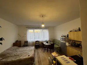 Prodej bytu 1+kk, Zruč nad Sázavou, Mládeže, 33 m2
