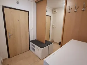Prodej bytu 2+kk, Praha - Černý Most, Bryksova, 39 m2
