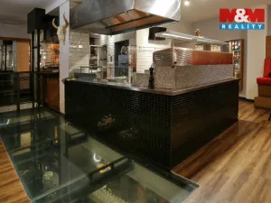 Pronájem restaurace, Olomouc, Riegrova, 250 m2