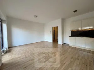 Pronájem bytu 1+kk, Brno, Kigginsova, 42 m2