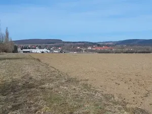 Prodej pole, Všeradice, 42604 m2