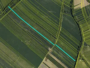 Prodej podílu pole, Malá Vrbka, 2555 m2