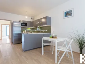 Pronájem bytu 4+kk, Praha - Žižkov, Olšanská, 107 m2