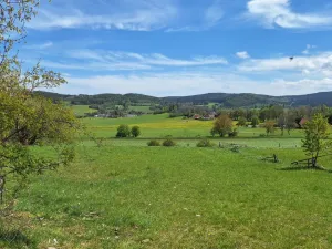 Prodej louky, Zdíkov - Masákova Lhota, 5959 m2