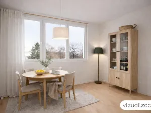 Prodej bytu 1+1, Plzeň - Jižní Předměstí, Čermákova, 39 m2