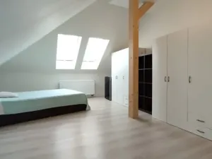 Prodej vícegeneračního domu, Hředle, 398 m2