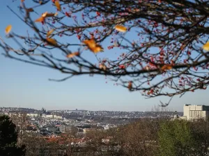 Prodej bytu 2+kk, Praha - Žižkov, Jana Želivského, 47 m2