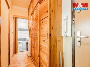 Prodej bytu 2+1, Český Těšín, Polní, 44 m2