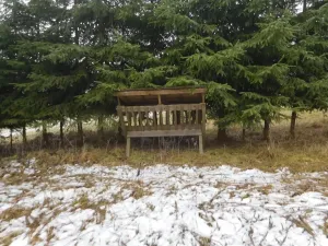 Dražba louky, Horní Planá, 3804 m2