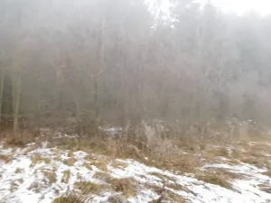 Dražba louky, Horní Planá, 3804 m2