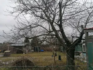 Pronájem zahrady, Břeclav, Letiště, 450 m2