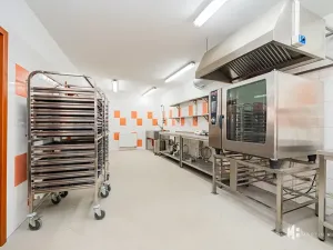 Pronájem výrobních prostor, Zlonín, Hlavní, 50 m2