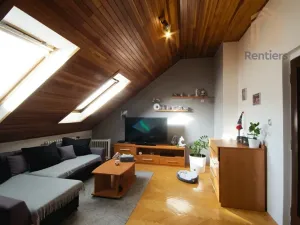 Prodej rodinného domu, Brno, Palírenská, 246 m2