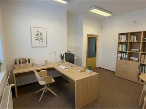 Pronájem kanceláře, Ostrava, Františky Stránecké, 55 m2